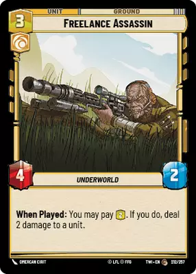 Freelance Assassin