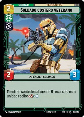 Soldado costero veterano