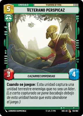 Veterano perspicaz